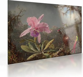 Sklenený obraz - Martin Johnson Heade, Cattleya Orchid and Three Hummingbirds, reprodukcia (70x50 cm)