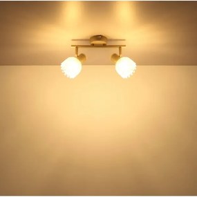 Globo 54317-2 - Bodové svietidlo PLANTA 2xE14/40W/230V