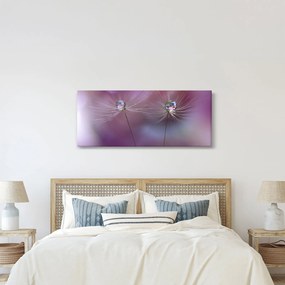 Obraz kvapôčok na páperí (120x50 cm)