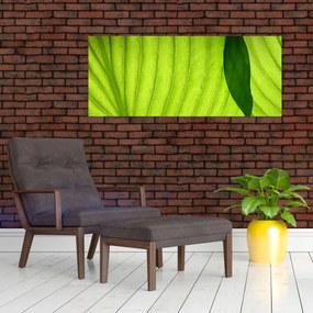 Obraz - Detail zeleného listu (120x50 cm)