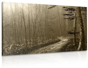Obraz sépiová cestička do lesa - 120x80