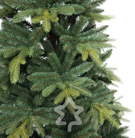 Jedľa Kangri 180 cm