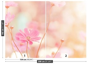 Fototapeta Vliesová Ružové kvety kozmu 104x70 cm