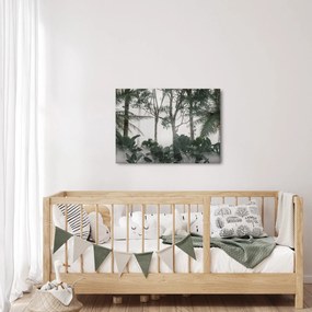 Obraz - Jungle v rannej hmle (70x50 cm)