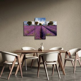 Obraz - Levanduľové pole a hory (90x60 cm)