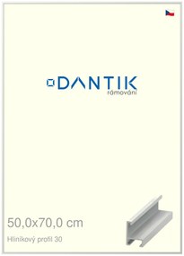 DANTIK rám na obraz 50x70 | ALU Bílá matná (Plexi Čiré)