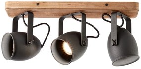 Brilliant - Bodové svietidlo CROWTON 3xGU10/6W/230V borovica