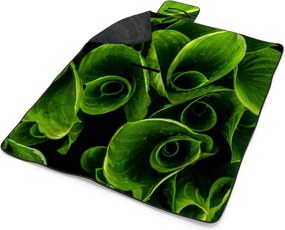 Sablio Plážová deka Zelené listy: 200x140 cm