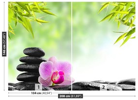 Fototapeta Vliesová Orchidea a kamene 104x70 cm
