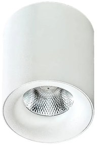 LED bodové svetlo Mane biele