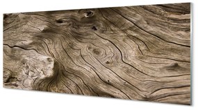 Obraz plexi Drevo uzlov obilia 120x60 cm