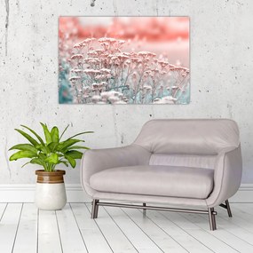 Obraz - Lúčne kvety (90x60 cm)