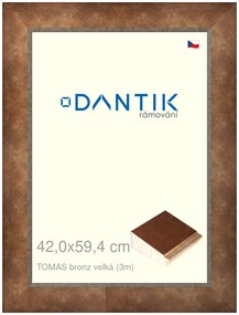 DANTIK rám na obraz 42x59,4 | TOMAS bronz velká (Plexi Čiré)