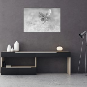 Obraz - Sova v poli (90x60 cm)
