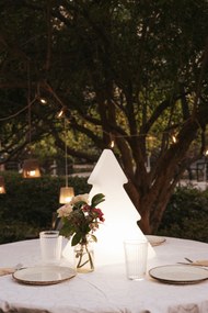Vianočná stojaca lampa biela 40 cm vrátane solárneho a nabíjateľného LED RGBW - Pinus