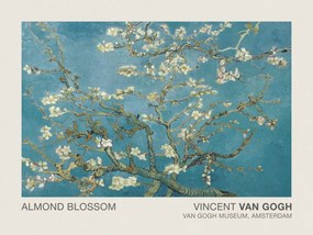 Obrazová reprodukcia Mandľové kvety, (40 x 30 cm)