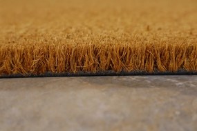 Trade Concept, Rohožka Kokos Svieži vietor - na von aj na doma, 40x60, hnedá, chodba / predsieň