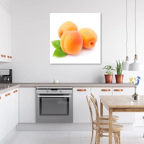 Obraz na plátně, Meruňkové ovoce - 60x60 cm