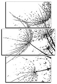 Obraz na plátne - Pampeliškové semienka s kvapkami vody - obdĺžnik 7202QC (90x60 cm)