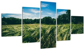 Obraz lúky a lesa (125x70 cm), 40 ďalších rozmerov