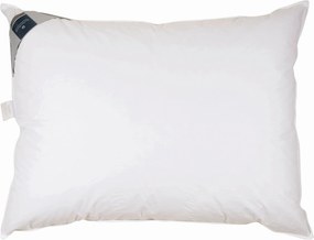 XXXLutz 3-KOMOROVÝ VANKÚŠ, 40/80 cm Billerbeck - Prikrývky & vankúše - 003279017903