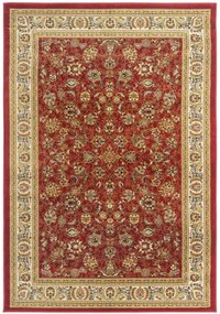 Koberce Breno Kusový koberec KENDRA 170/DZ2P, červená, viacfarebná,240 x 340 cm