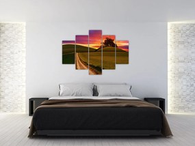 Obraz poľa pri západe slnka (150x105 cm)