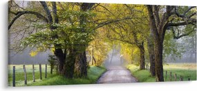 Obraz - Smoky Mountains, Gatlinburg, USA (120x50 cm)