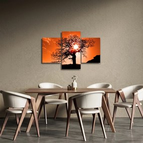 Obraz - Dub pri západe slnka (90x60 cm)