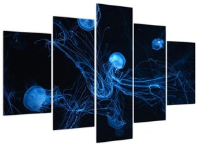 Obraz - Medúzy (150x105 cm)