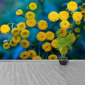 Fototapeta Vliesová Žlté kvety 152x104 cm