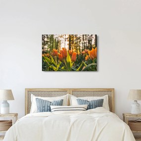 Obraz - oranžové tulipány (90x60 cm)