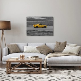 Sklenený obraz - Rýchle auto (70x50 cm)
