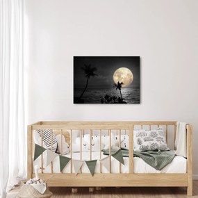 Obraz - Pláž za splnu v šedých tónoch (70x50 cm)