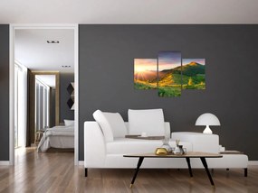 Obraz - Letná krajina (90x60 cm)