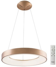 Azzardo AZ5009 - LED Stmievateľný luster na lanku SANTANA LED/50W/230V zlatá + DO