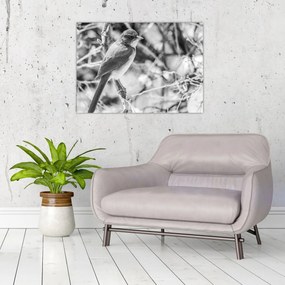 Obraz - Modrý vták v zime (70x50 cm)