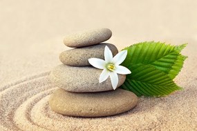 Samolepiaca fototapeta biely kvet so zen kameňmi