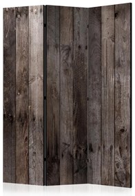 Artgeist Paraván - Boards with Nails [Room Dividers]