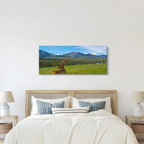 Obraz - Jeleň v lúke (120x50 cm)