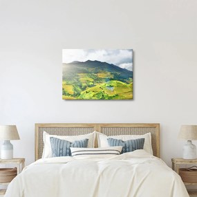 Obraz plantáže (70x50 cm)