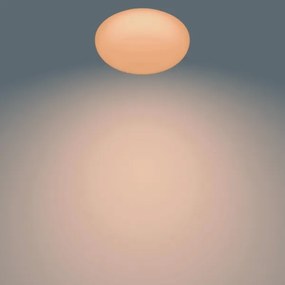 Philips - LED Stmievateľné stropné svietidlo TOBA 1xLED/23W/230V + DO