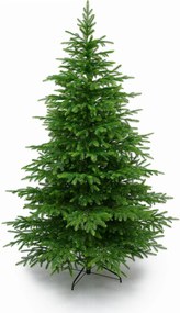 Smrek Beskydský 100% 3D- 255cm