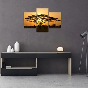 Obraz - Africká savana (90x60 cm)
