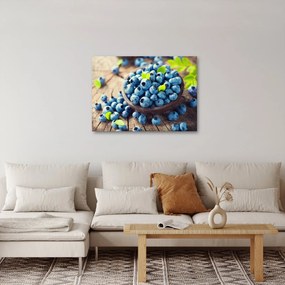 Obraz - Čučoriedky (70x50 cm)
