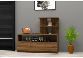 Asir Skrinka na topánky AIRY 45x100 cm hnedá AS0954