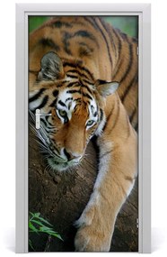 Samolepiace fototapety na dvere tiger na strome 85x205 cm