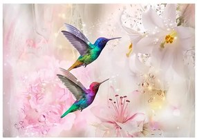 Samolepiaca fototapeta - Colourful Hummingbirds (Pink) Veľkosť: 392x280, Verzia: Samolepiaca