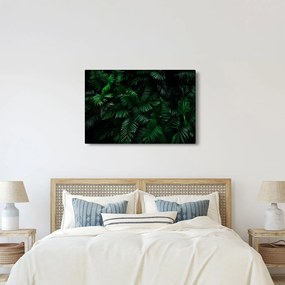 Obraz - Tropické papradie (90x60 cm)
