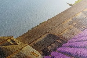 Obraz Provensálsko s levanduľovými poľami - 120x60